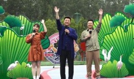 平湖最新爆料案件视频,最新视频揭秘惊人真相